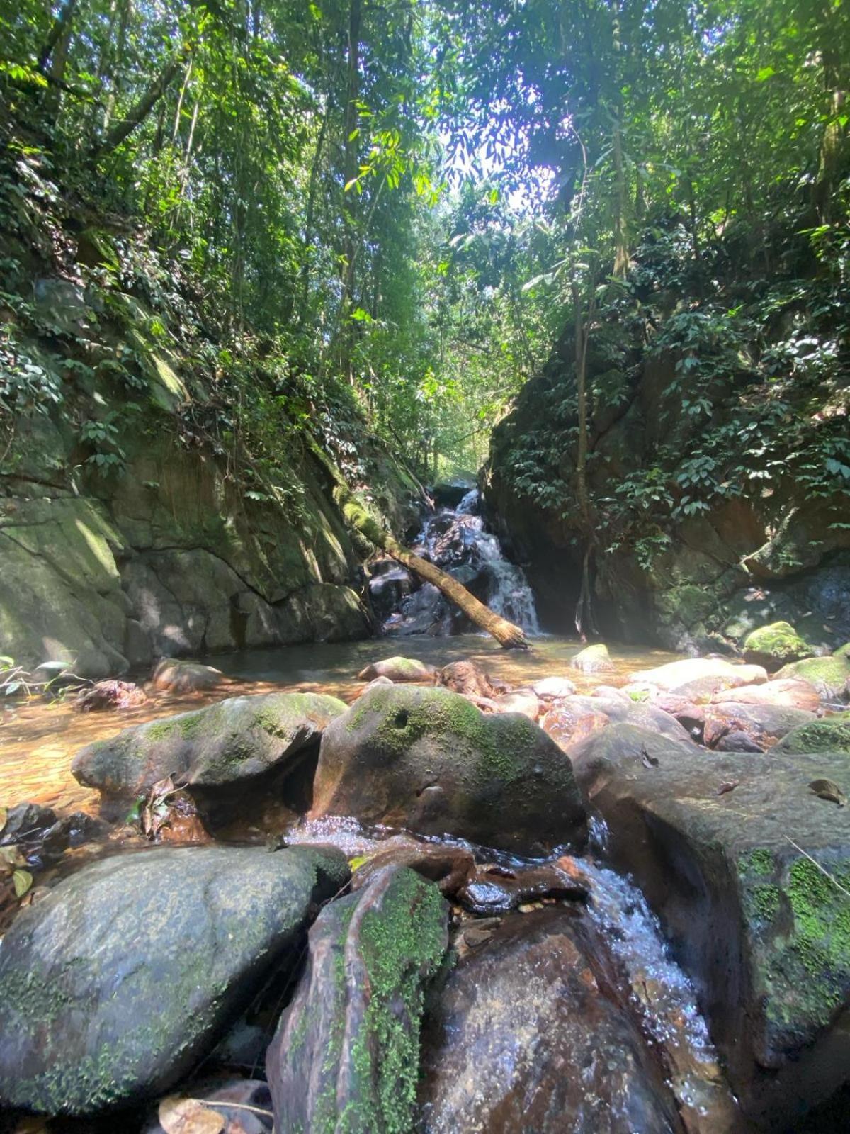 Eco Trekking Lodge, Bar & Jungle Tour'S Bukit Lawang Kültér fotó