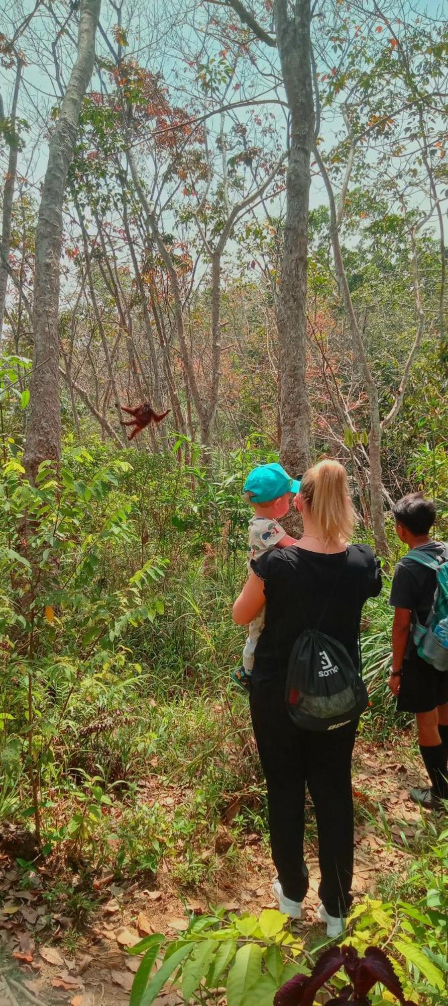 Eco Trekking Lodge, Bar & Jungle Tour'S Bukit Lawang Kültér fotó