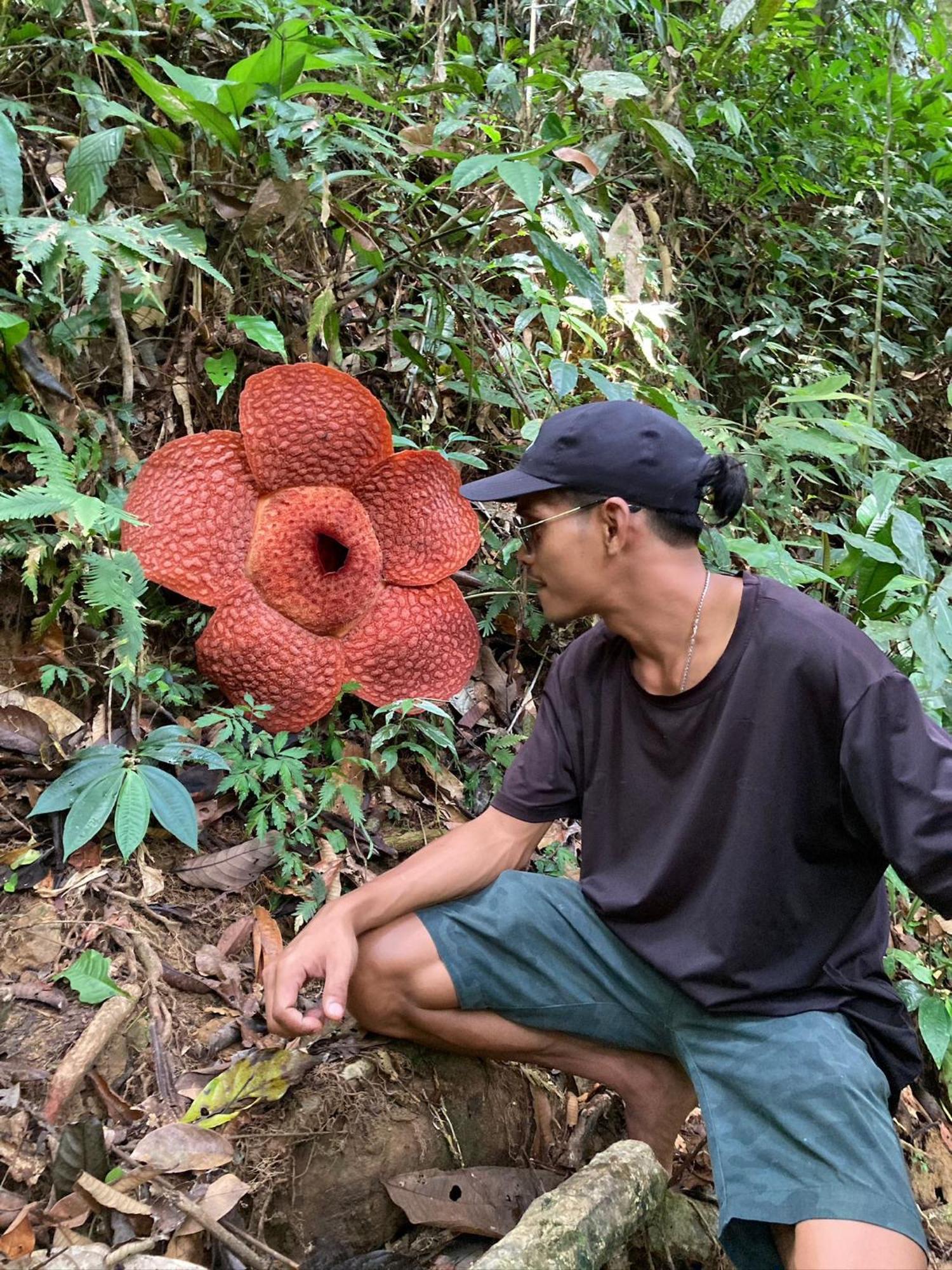 Eco Trekking Lodge, Bar & Jungle Tour'S Bukit Lawang Kültér fotó