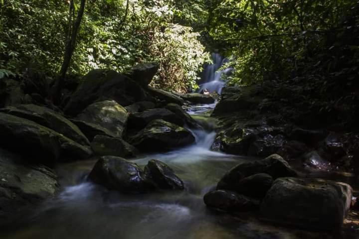 Eco Trekking Lodge, Bar & Jungle Tour'S Bukit Lawang Kültér fotó