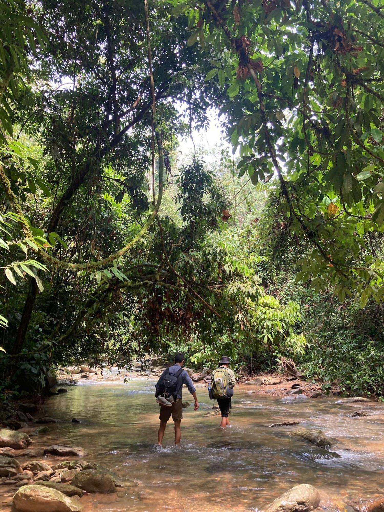 Eco Trekking Lodge, Bar & Jungle Tour'S Bukit Lawang Kültér fotó