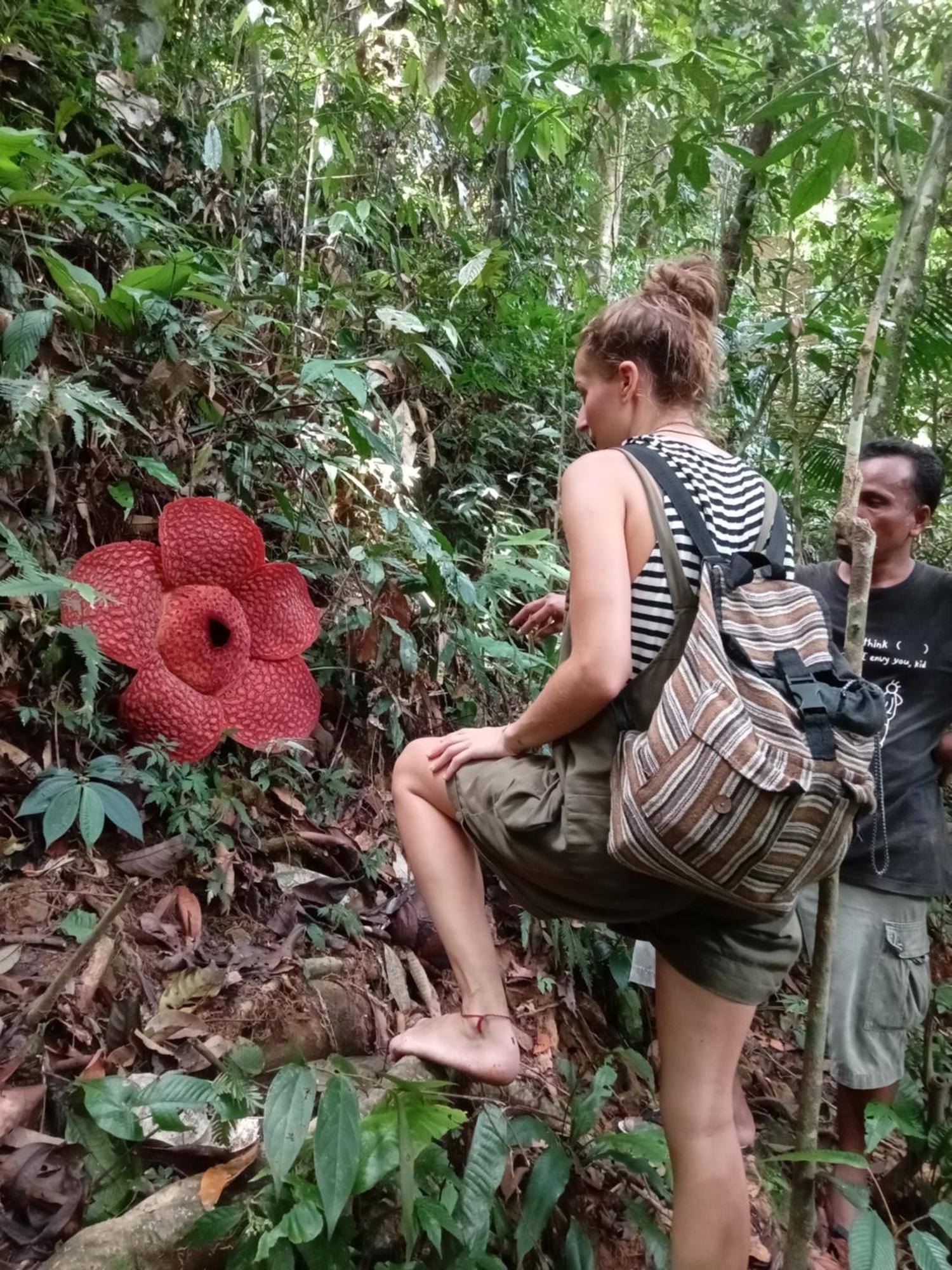 Eco Trekking Lodge, Bar & Jungle Tour'S Bukit Lawang Kültér fotó